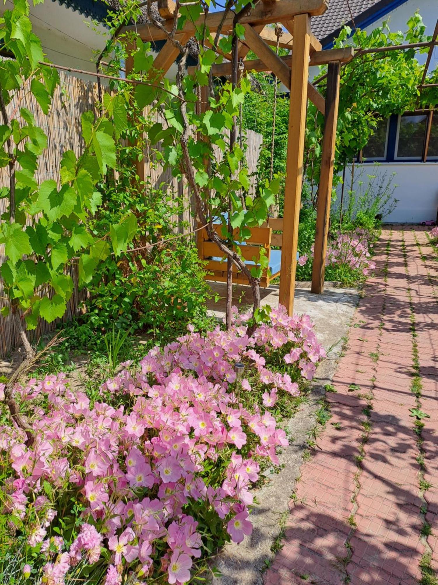 Pensiunea Valurile Dunarii สฟึนตูกีออร์เก ภายนอก รูปภาพ